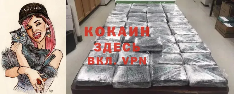 Cocaine Эквадор Заречный